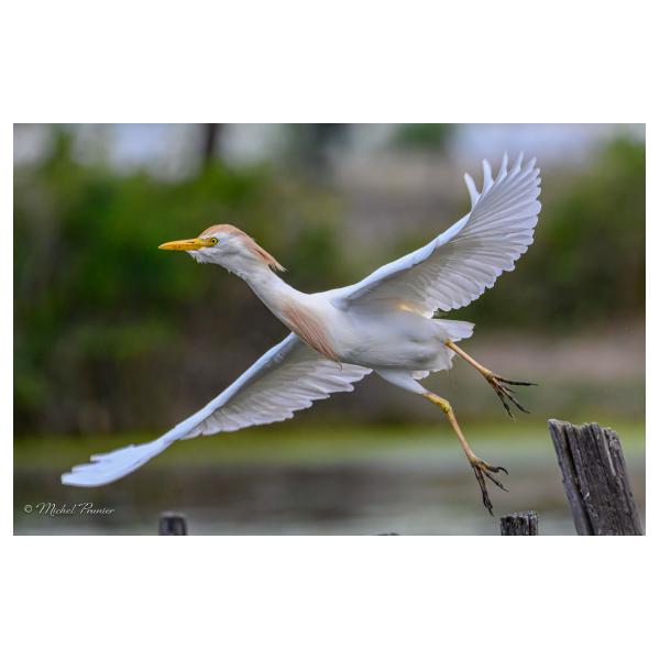 PHOTO84, CLUB, 84 , LUBERON